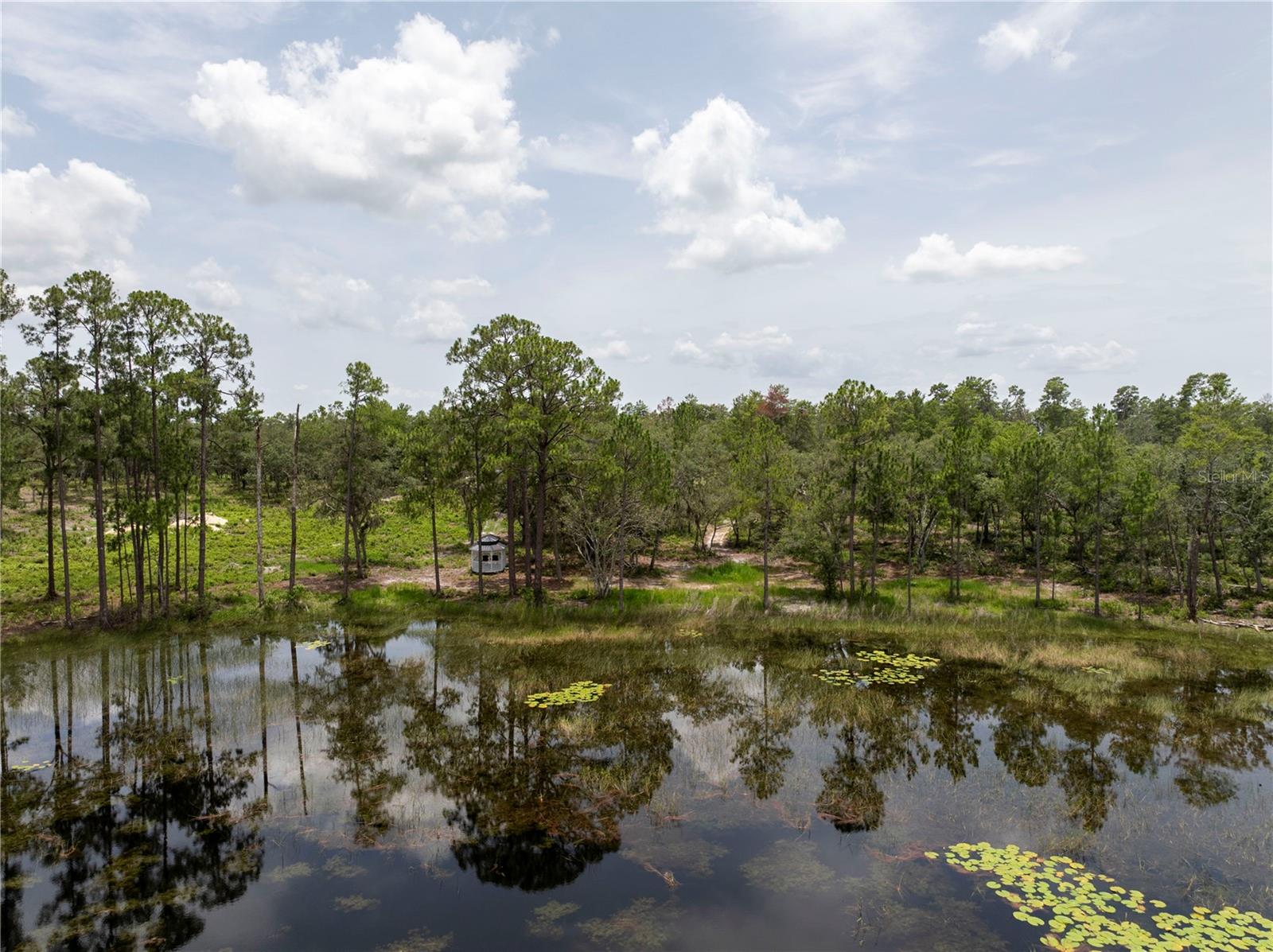 Image 78 of 97 For 32325 State Road 44