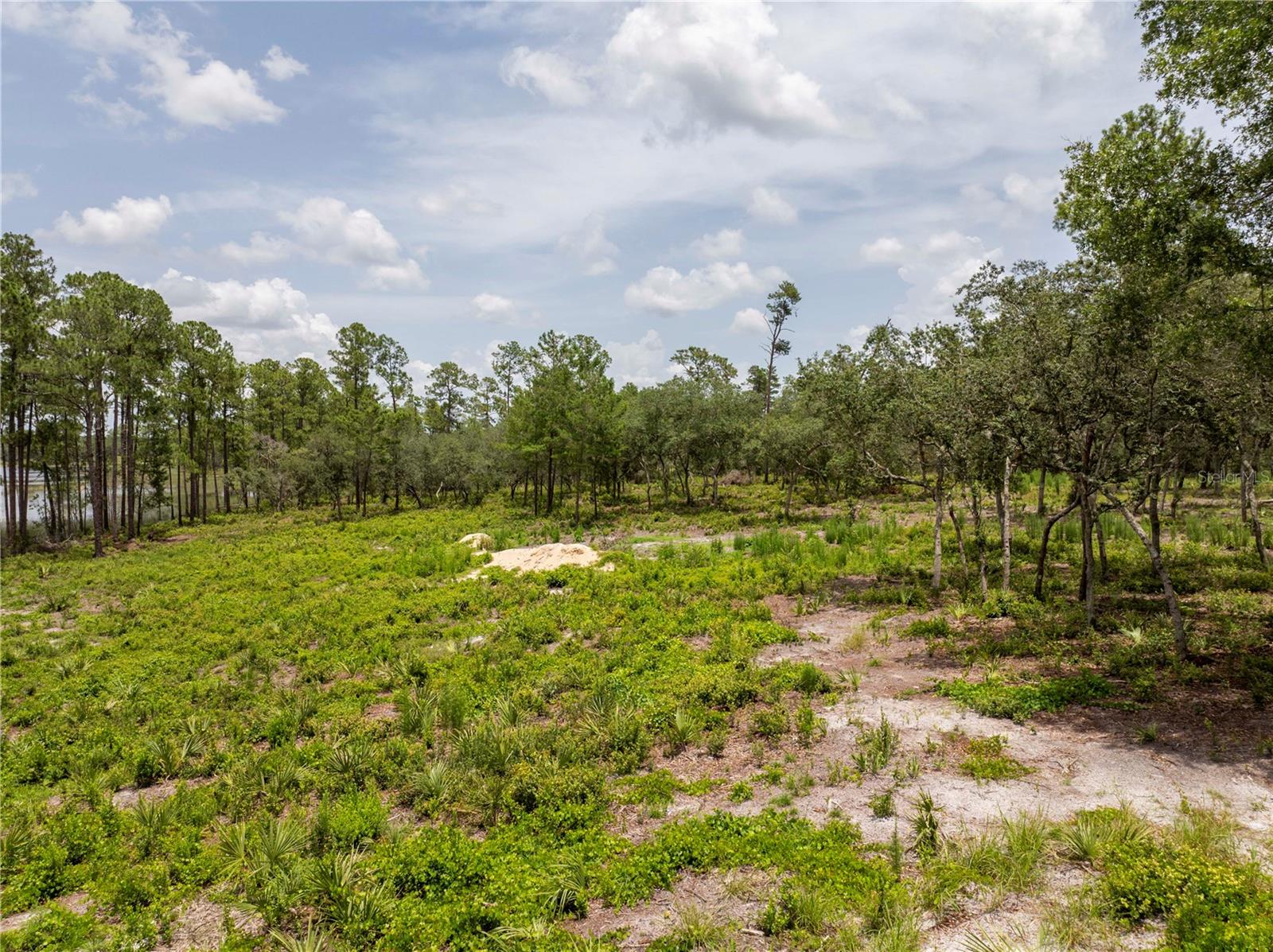 Image 87 of 97 For 32325 State Road 44