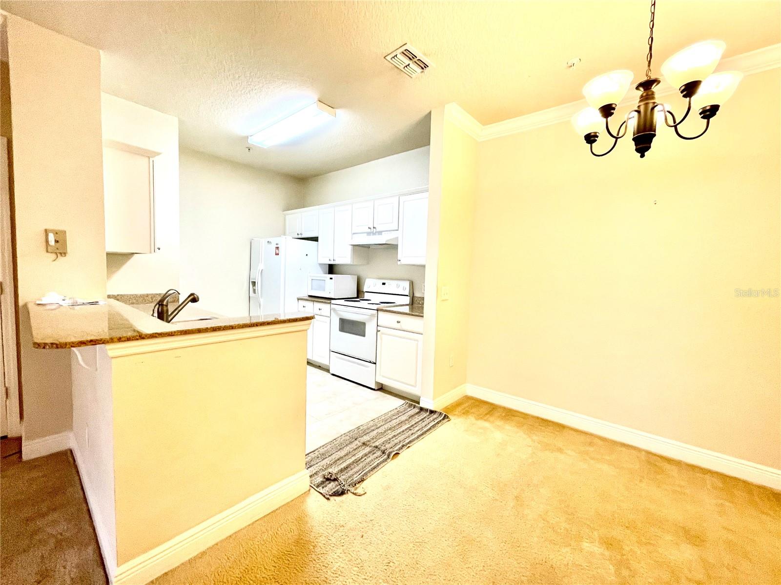 Image 5 of 10 For 303 Southern Pecan Circle 102