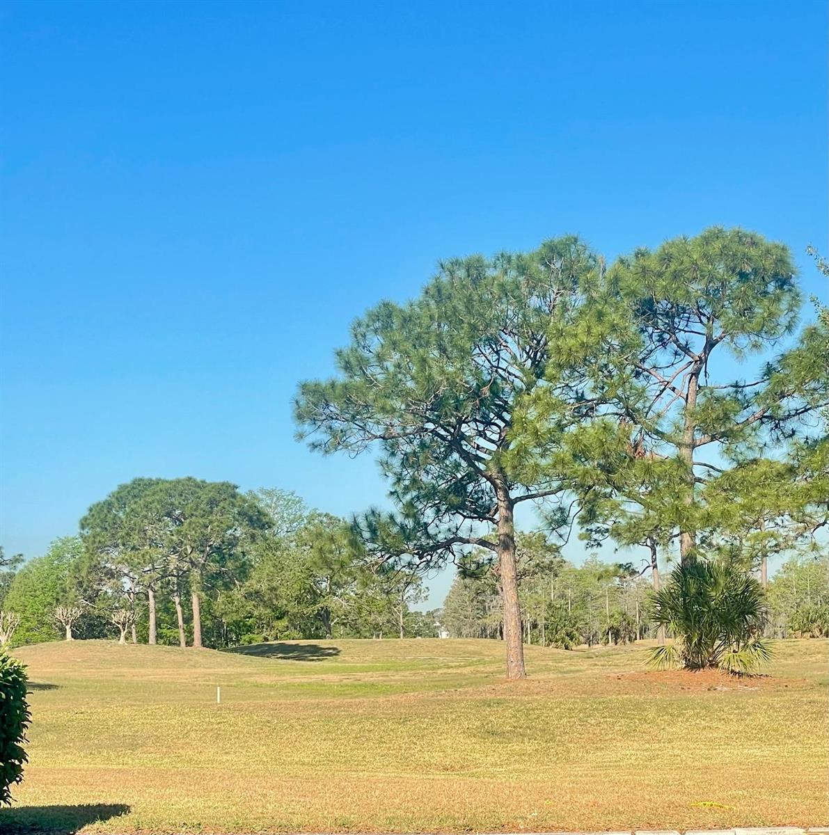 Image 10 of 25 For Address Not Provided