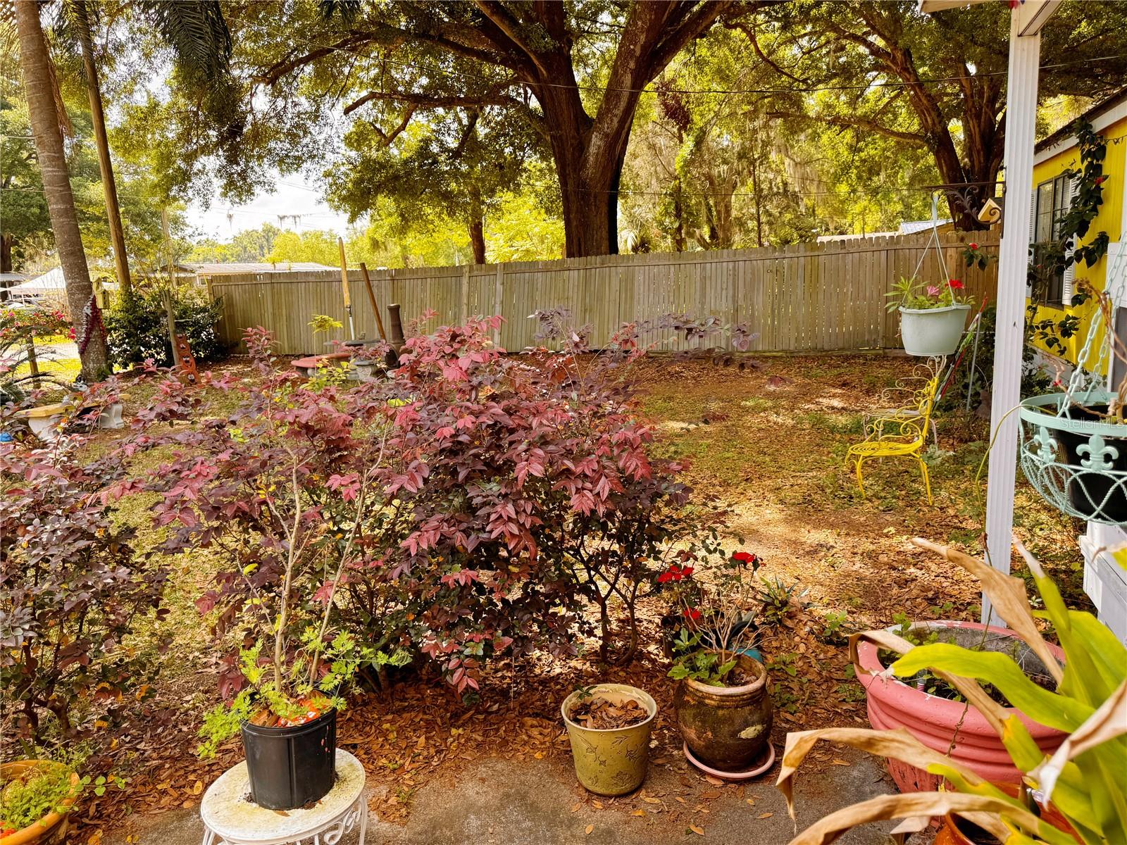 Image 13 of 43 For 12344 128th Court