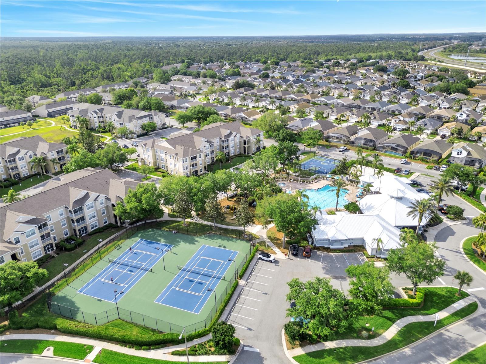 Image 45 of 61 For 8118 Fan Palm Way