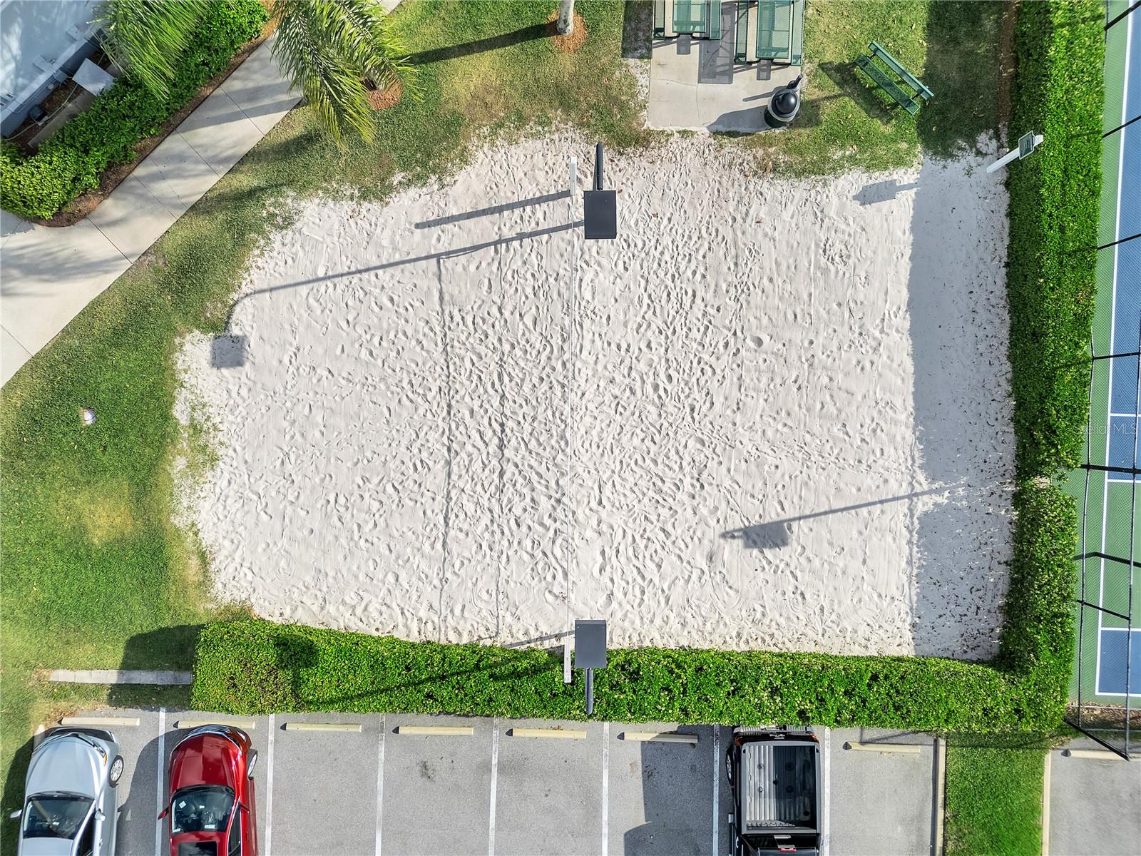 Image 46 of 61 For 8118 Fan Palm Way