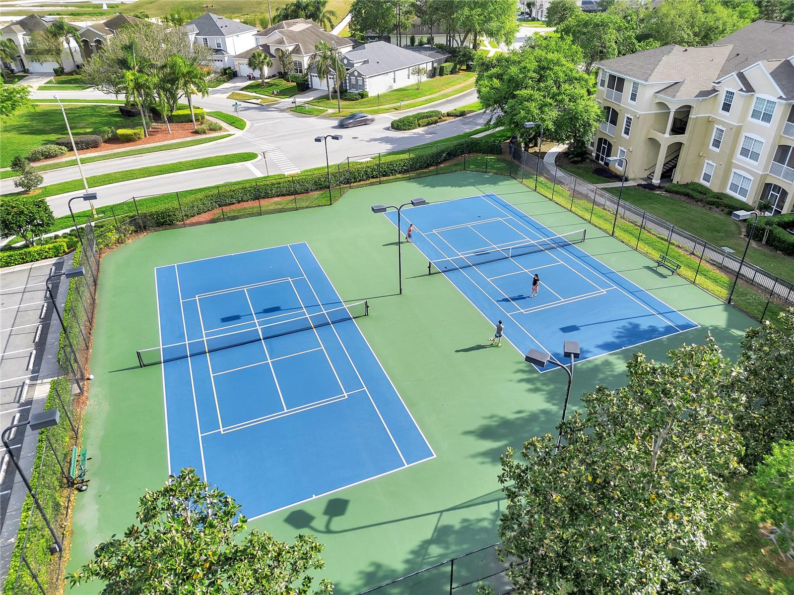 Image 48 of 61 For 8118 Fan Palm Way