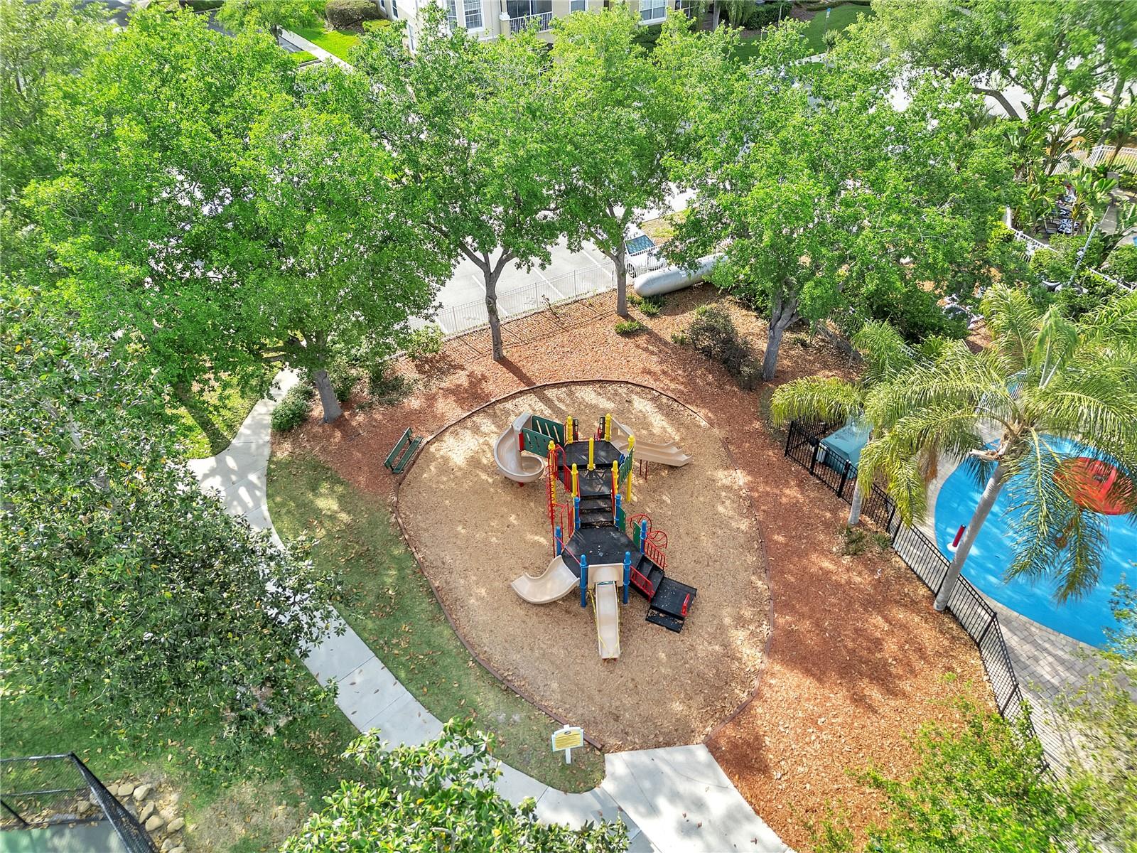 Image 49 of 61 For 8118 Fan Palm Way
