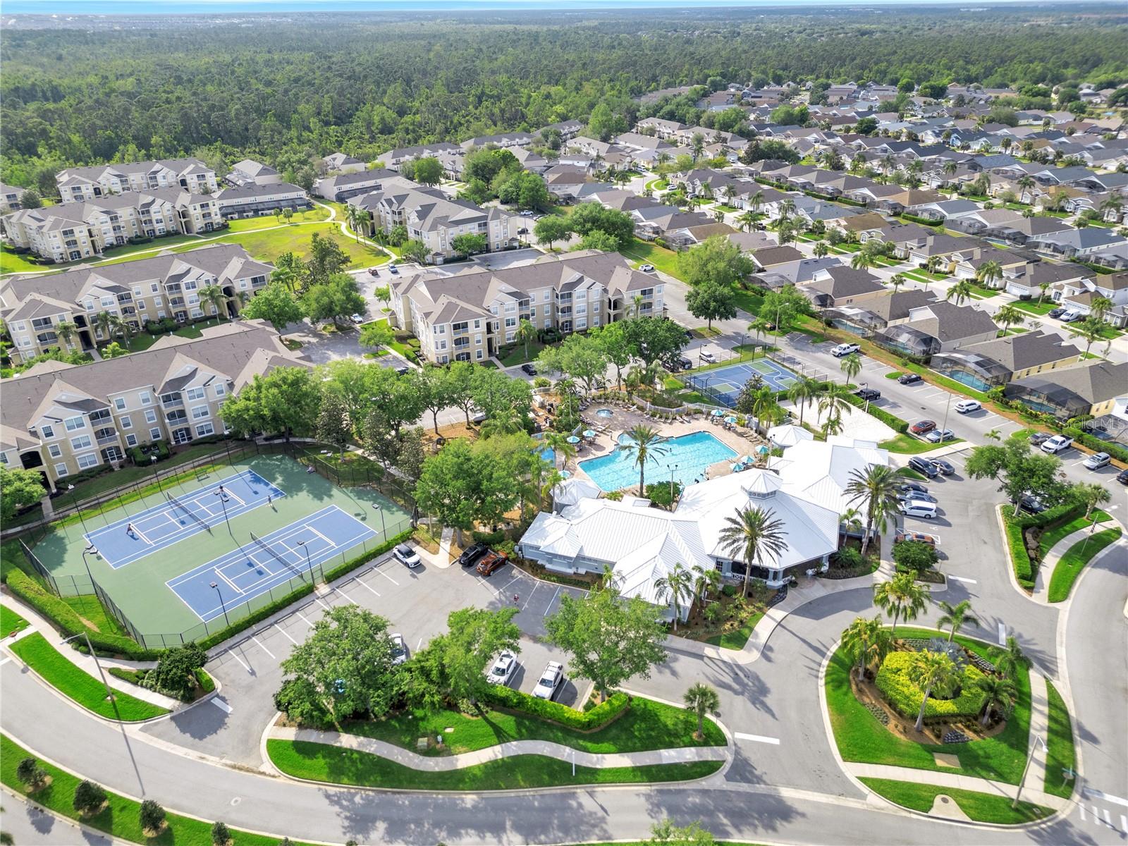 Image 59 of 61 For 8118 Fan Palm Way