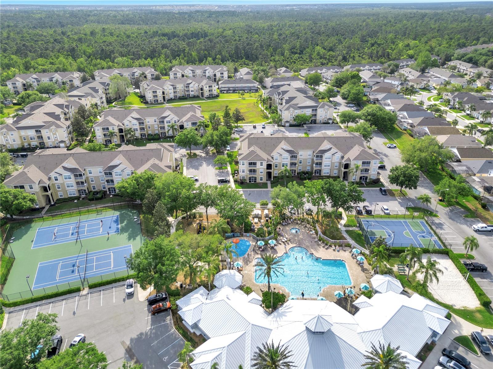 Image 60 of 61 For 8118 Fan Palm Way