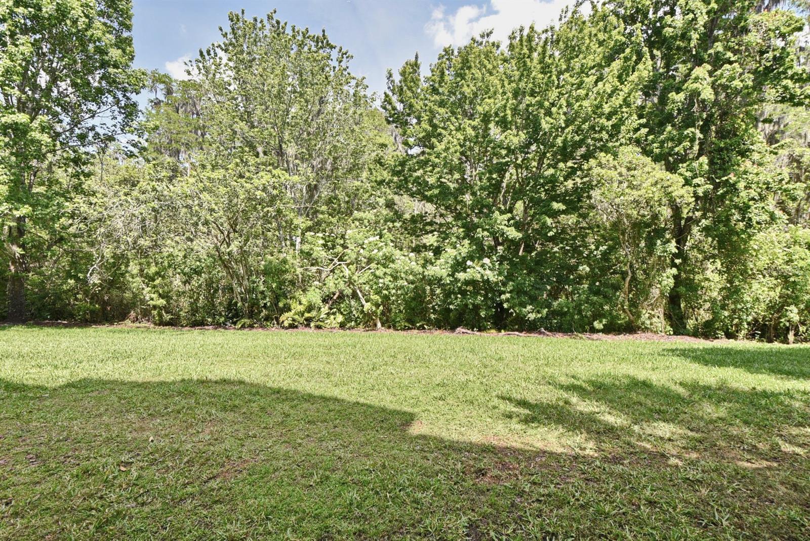 Image 49 of 56 For 6265 Contessa Drive 108