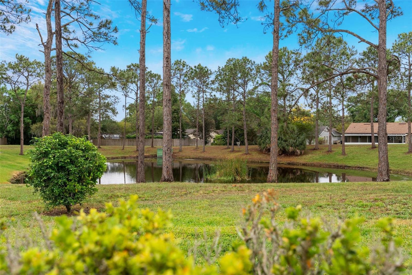 Image 58 of 61 For 9056 Woodbreeze Boulevard