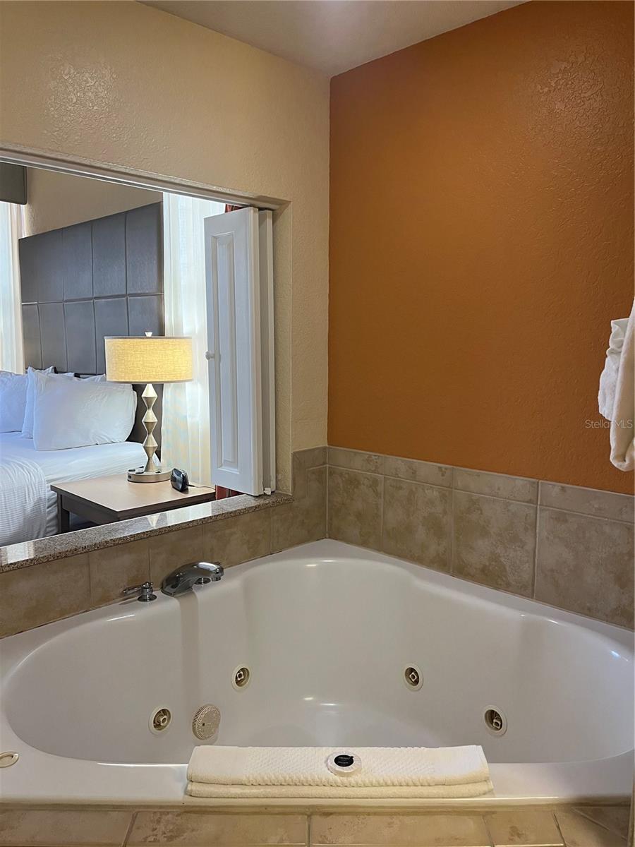 Image 18 of 39 For 12539 Floridays Resort Dr 411d