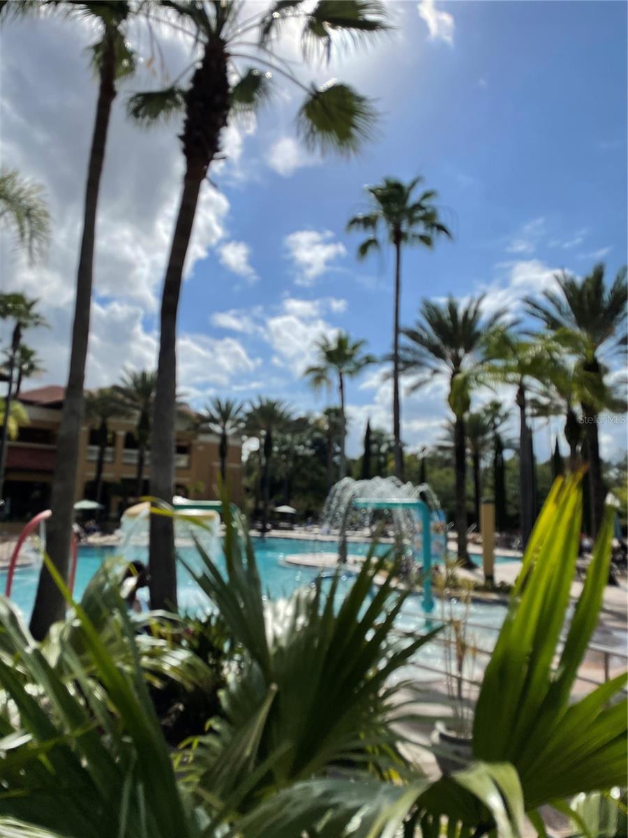 Image 26 of 39 For 12539 Floridays Resort Dr 411d