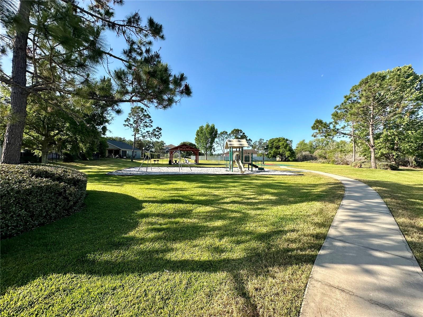 Image 37 of 44 For 9244 Pecky Cypress Way
