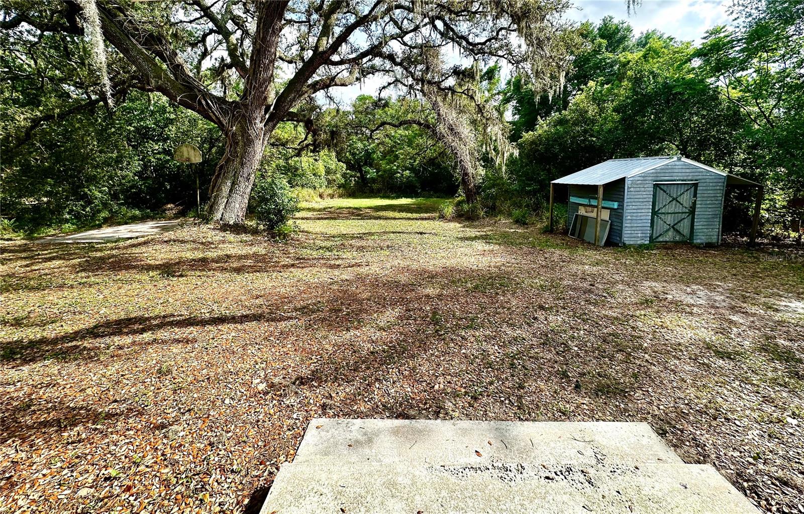 Image 19 of 28 For 316 Magnolia Street
