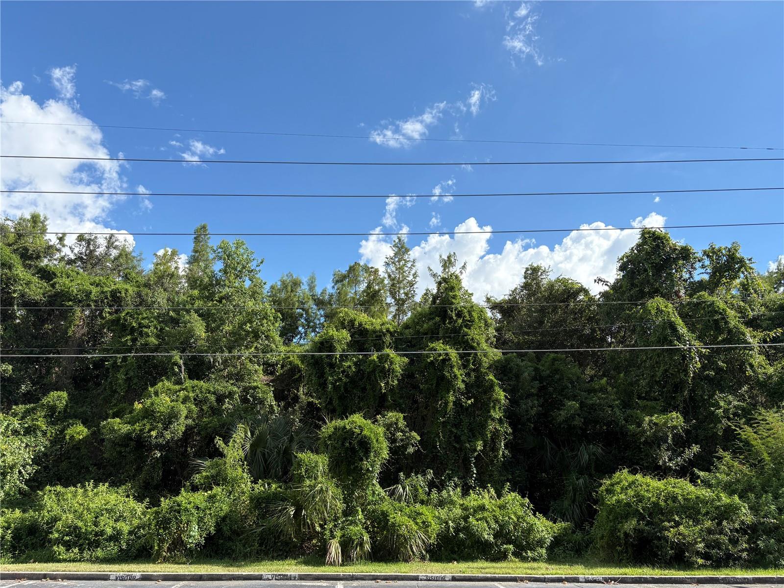Image 16 of 16 For 4378 Lake Orlando Parkway 6