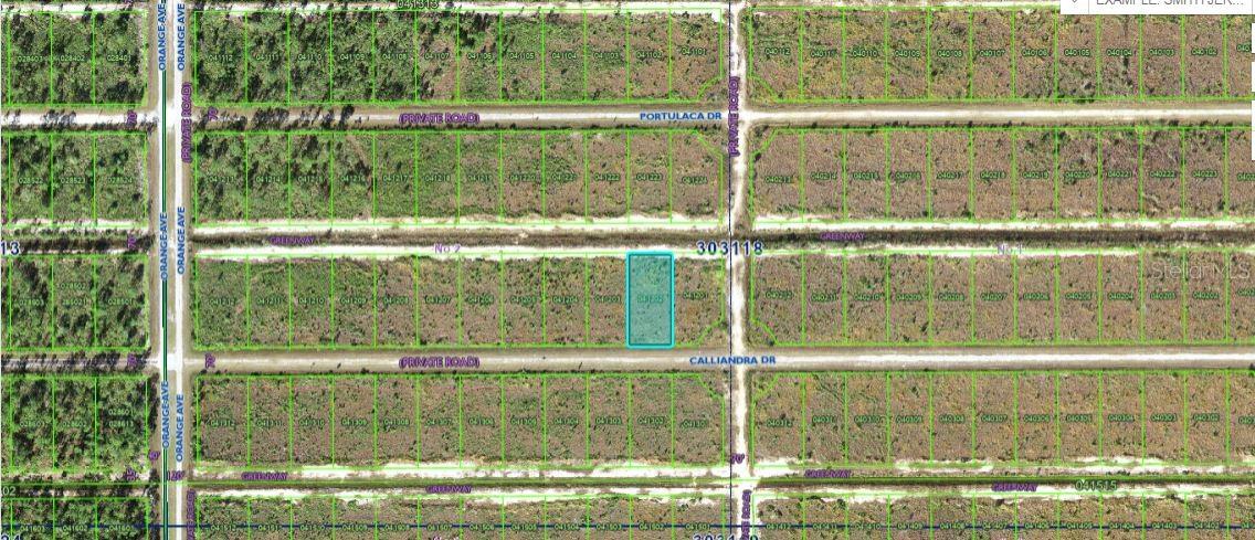 Details for 704 Calliandra Drive, INDIAN LAKE ESTATES, FL 33855