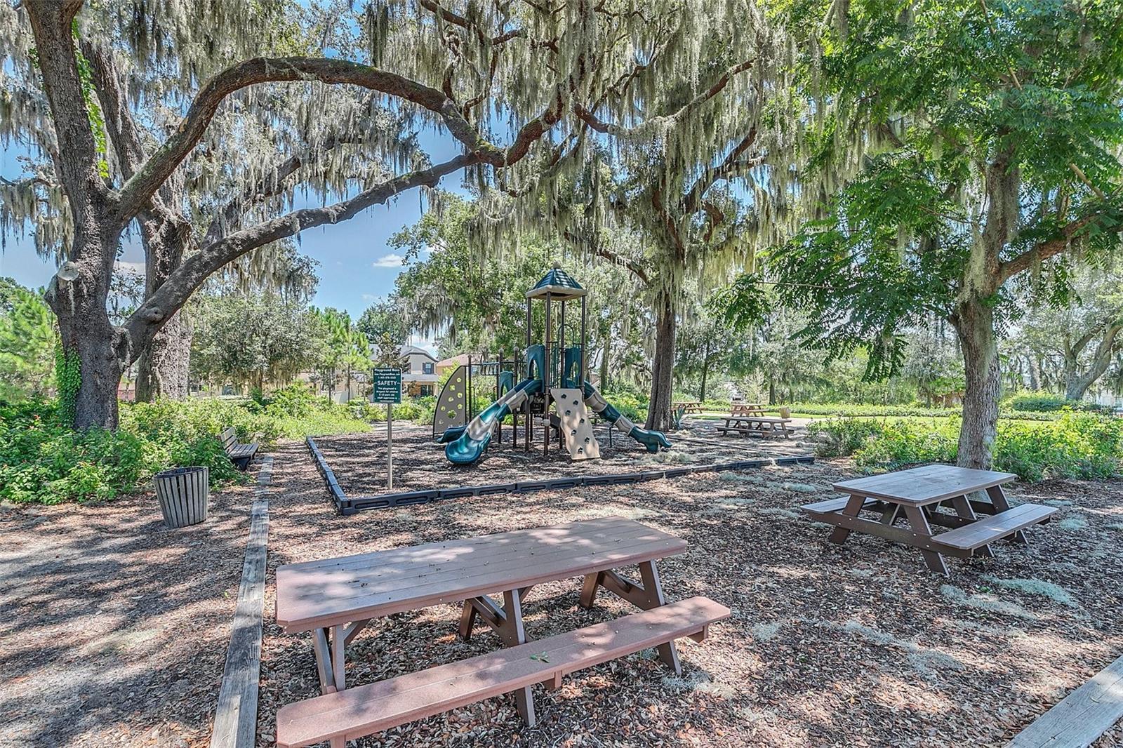 Image 40 of 44 For 1558 Terra Verde Way