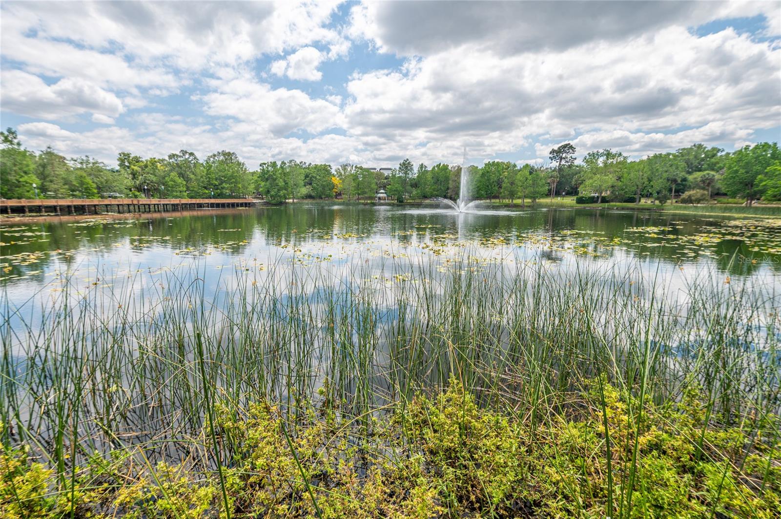 Image 50 of 61 For 826 Glen Arden Way
