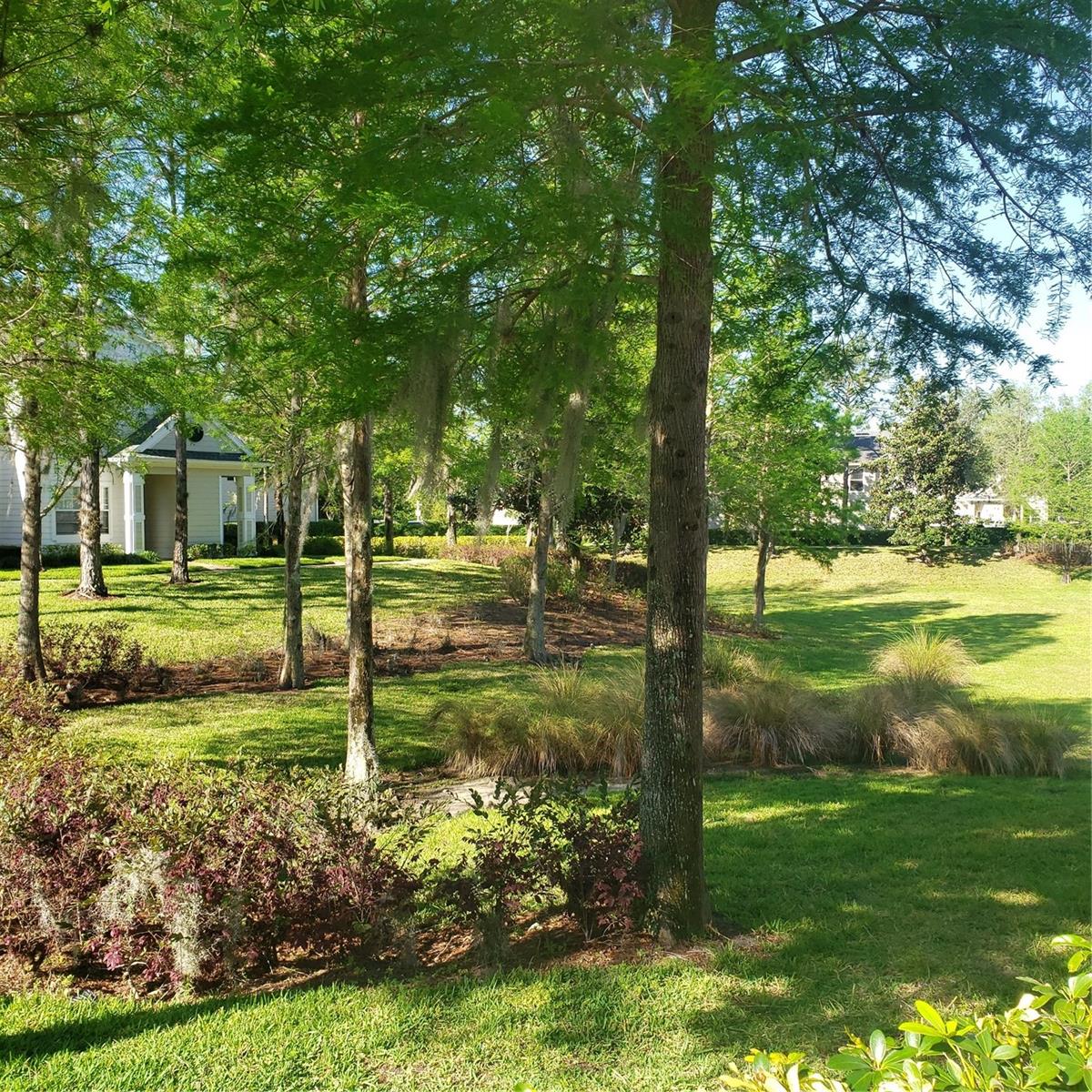 Image 36 of 51 For 330 Southern Pecan Circle 104