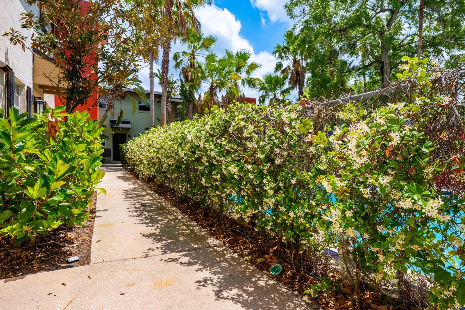 Image 22 of 25 For 2501 Central Boulevard 9