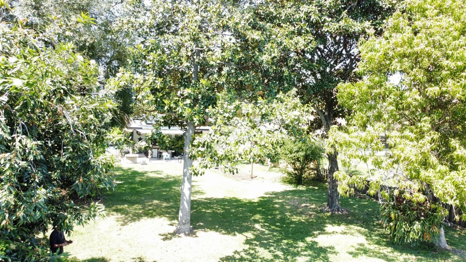 Image 5 of 43 For 2154 Lake Christie Drive
