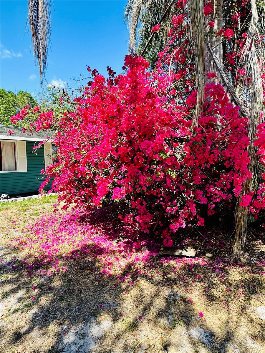 Image 21 of 21 For 855 Marion Drive