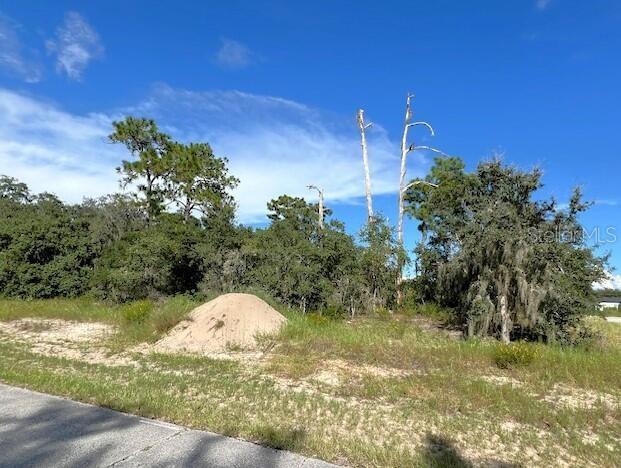Details for 1301 St Augustine Court, POINCIANA, FL 34759