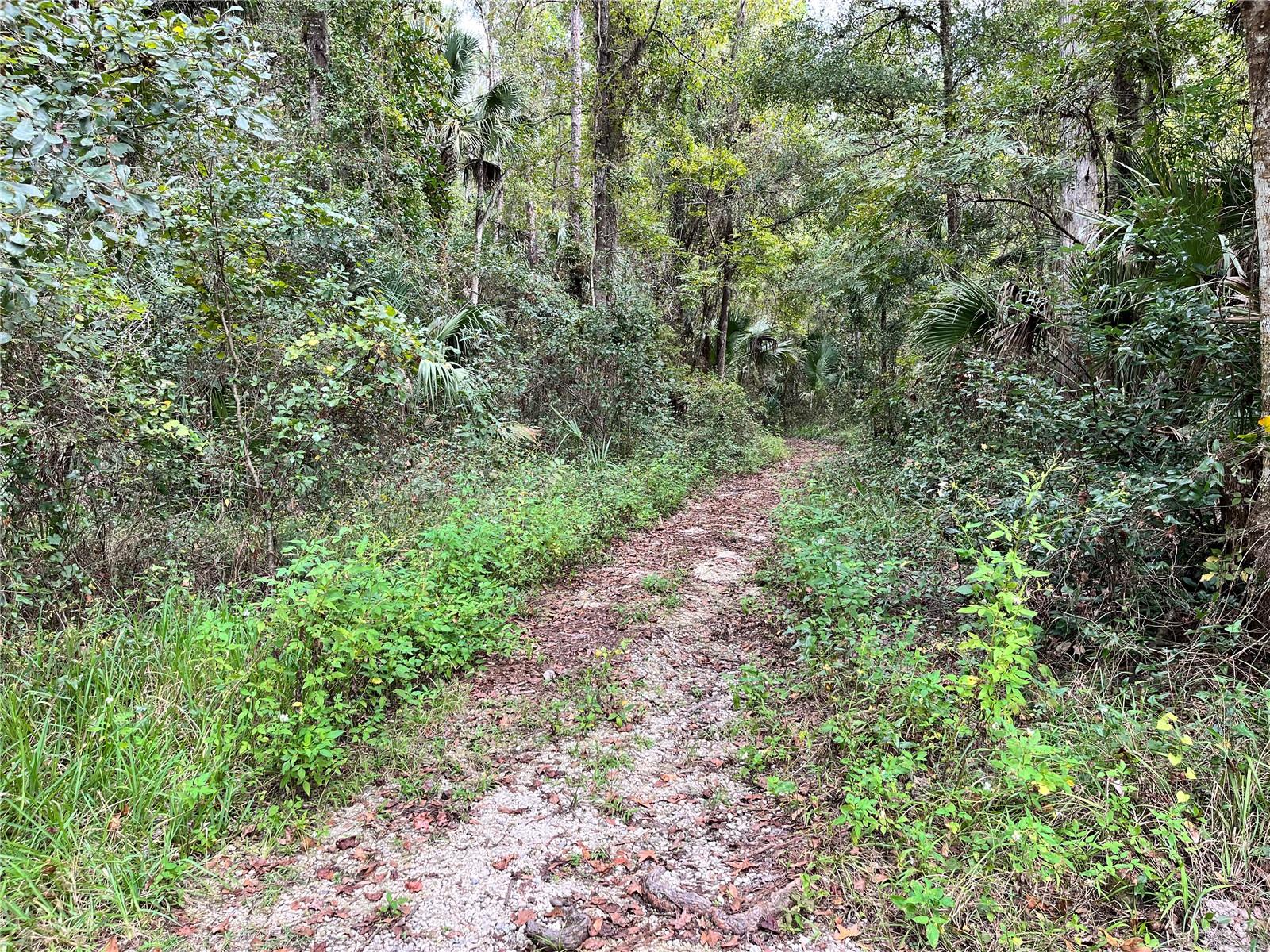 Image 88 of 90 For 3067 102nd Avenue Road
