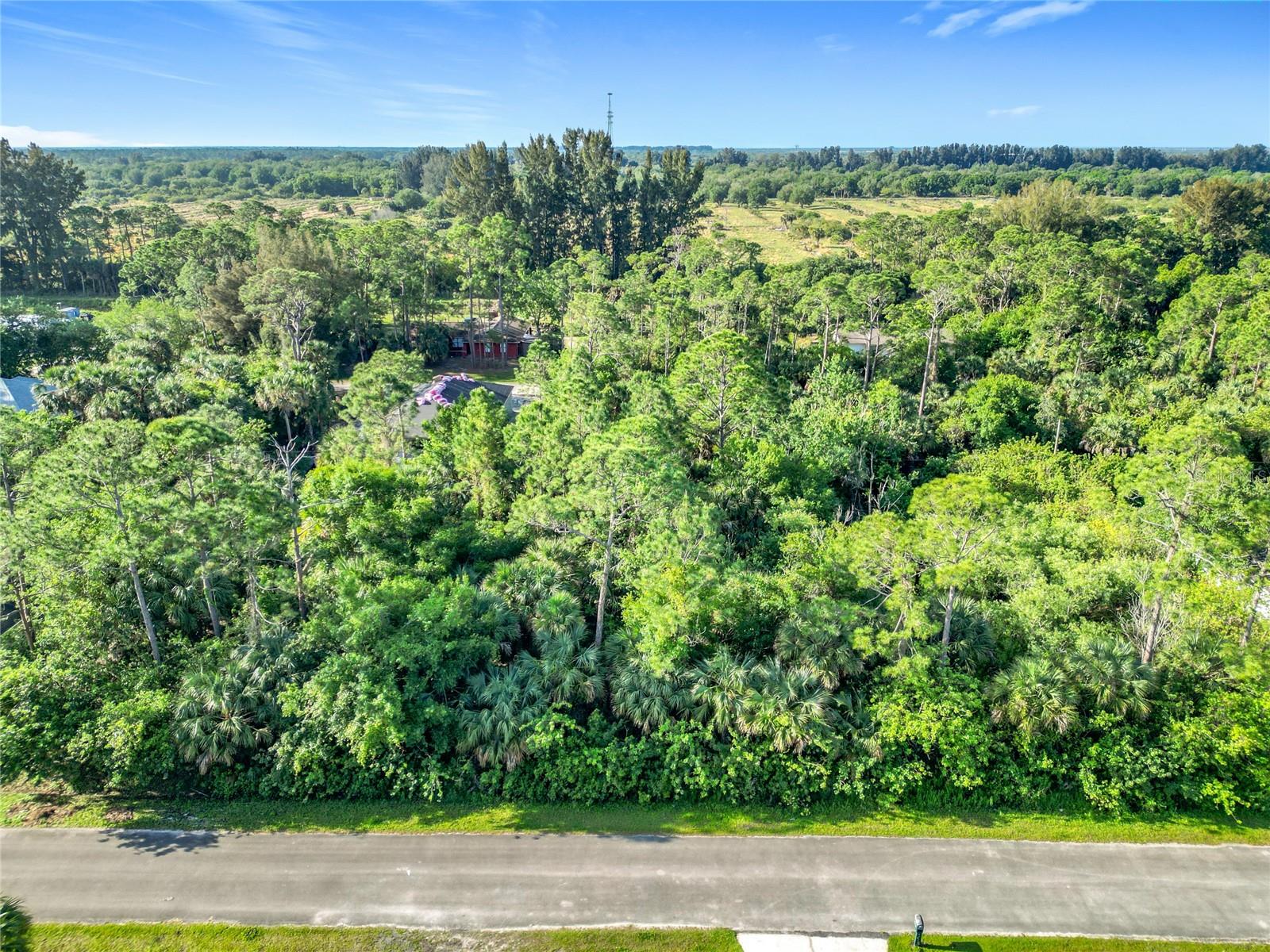 Image 13 of 28 For 814 Micco Street Sw