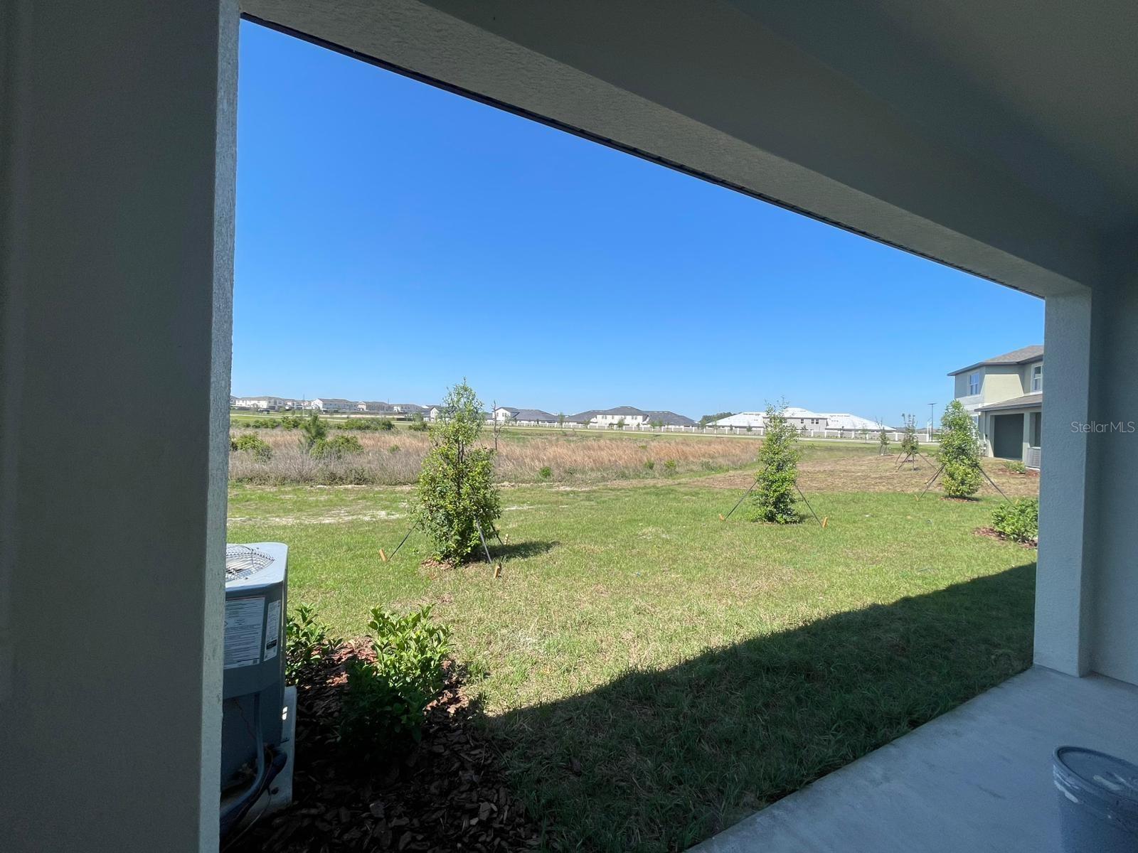 Image 10 of 28 For 32046 Spiceberry Street