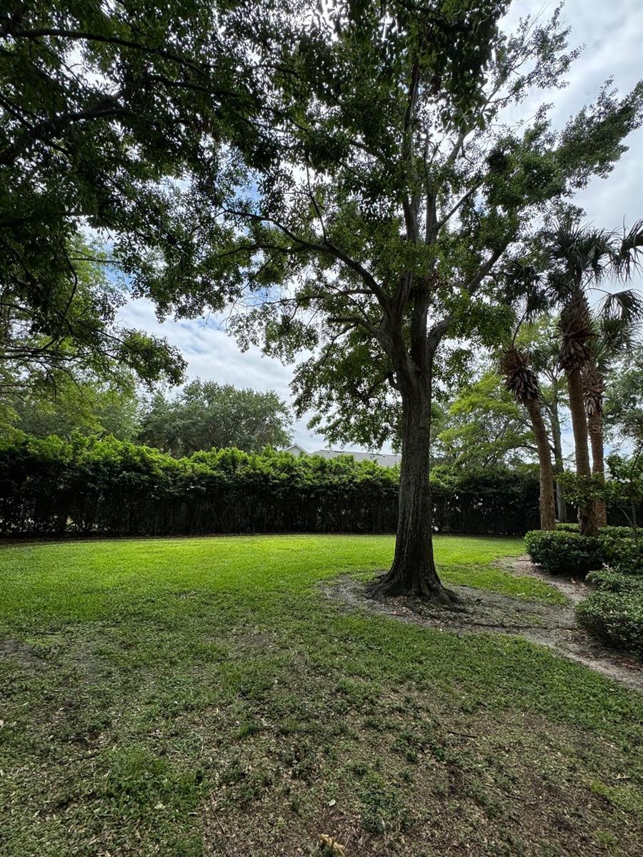 Image 22 of 28 For 2674 Robert Trent Jones Drive 337