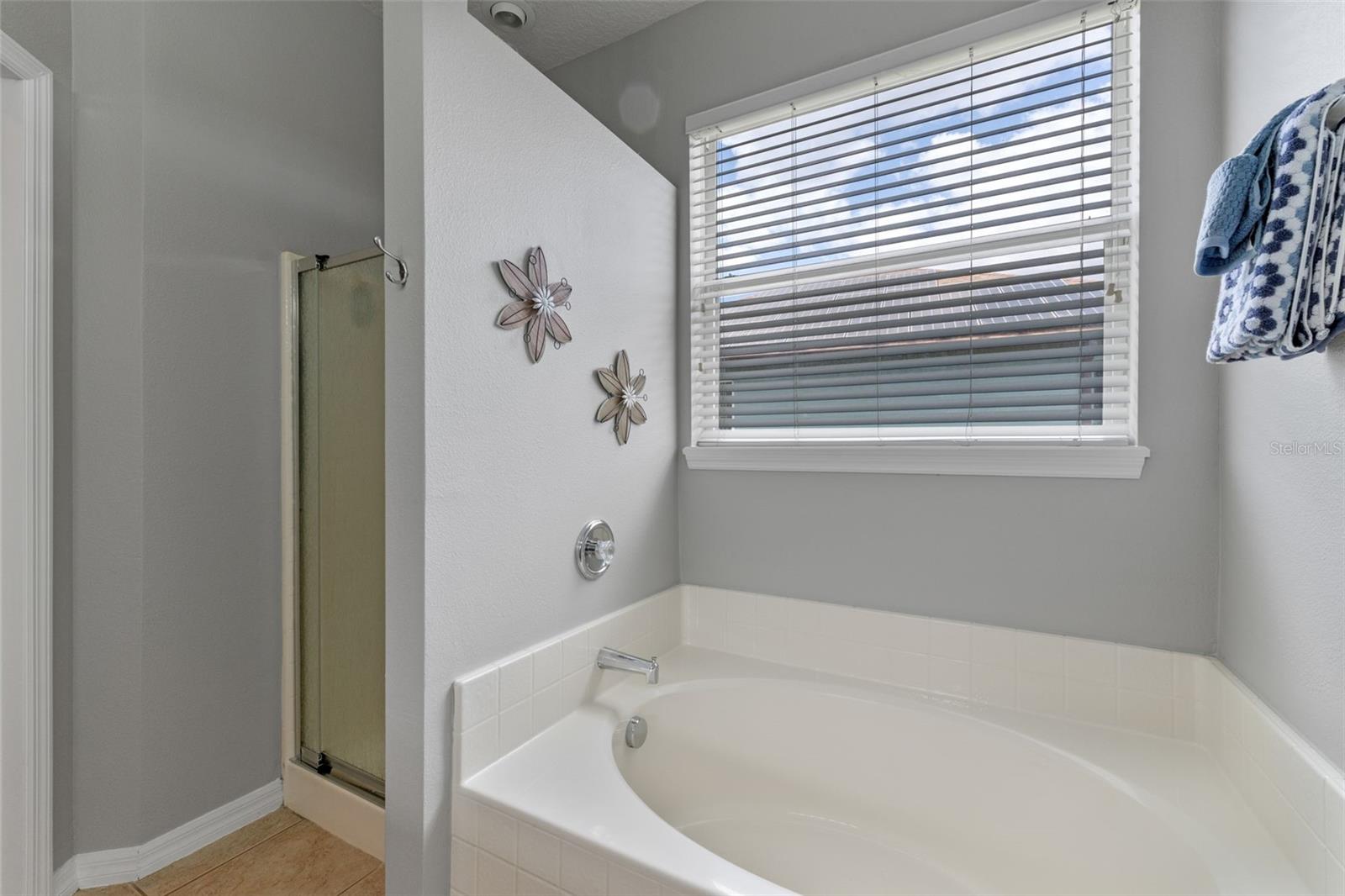 Image 33 of 43 For 10435 Eastpark Lake Drive
