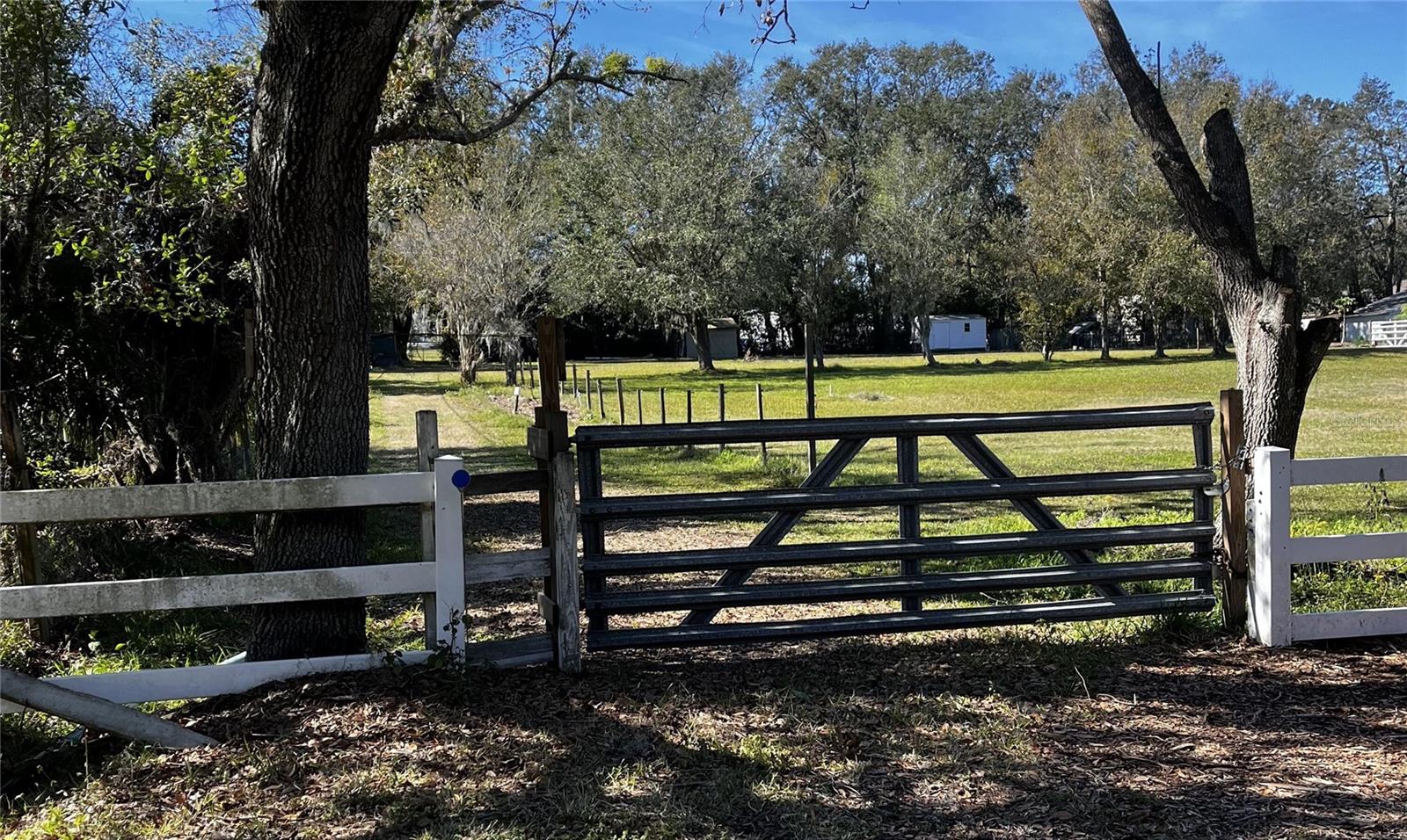 Details for 0 Dover Road, DOVER, FL 33527