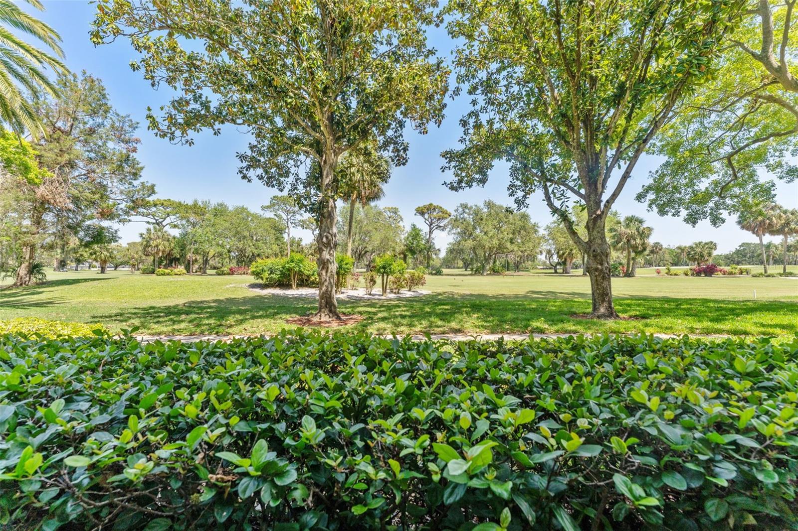 Image 29 of 37 For 3035 Countryside Boulevard 15b