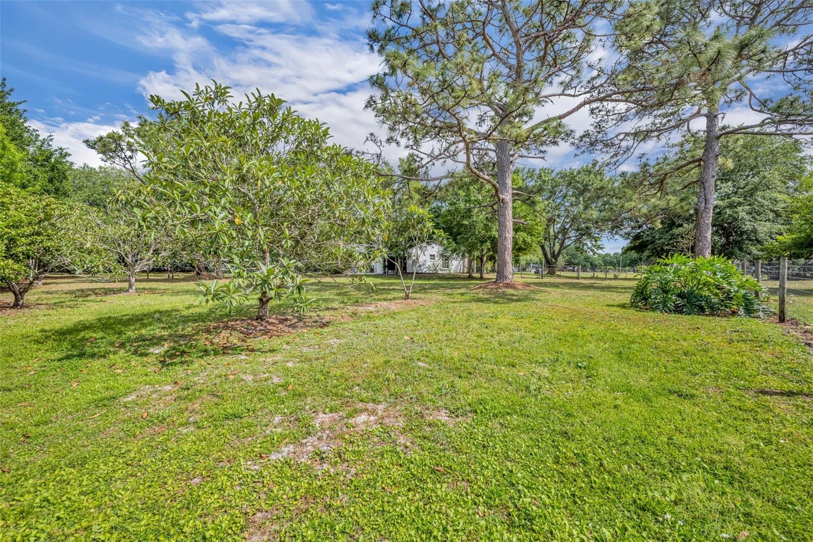 Image 39 of 61 For 2810 Windsong Lane