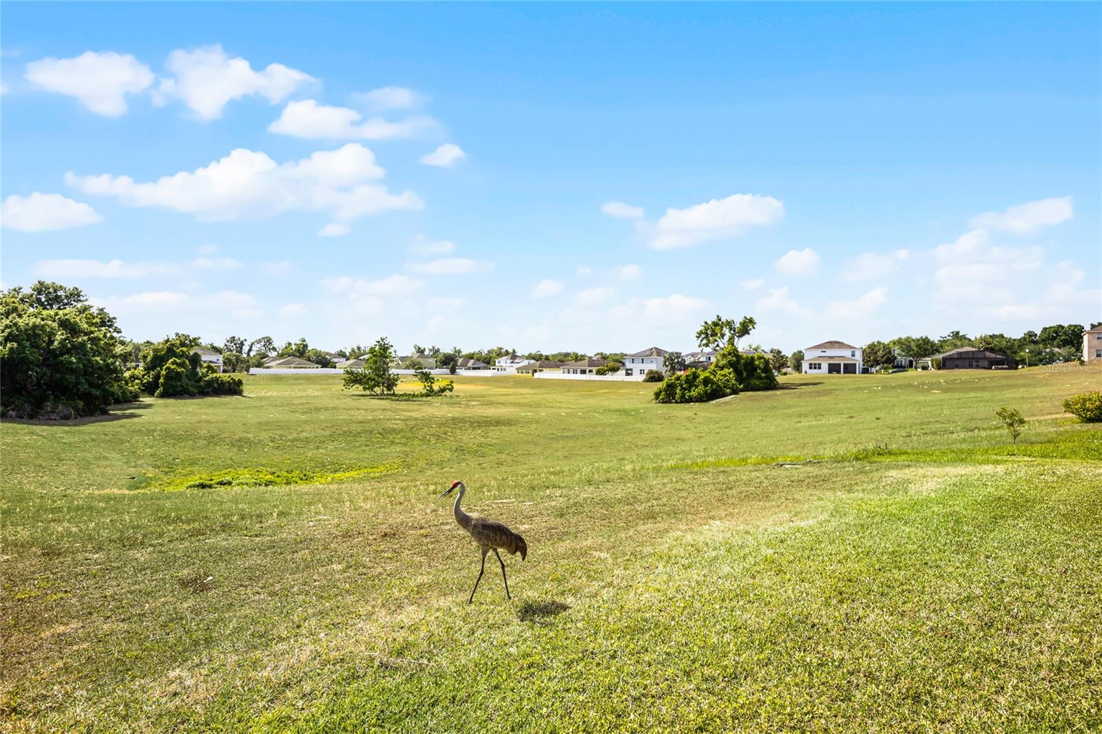 Image 8 of 62 For 346 Willet Avenue