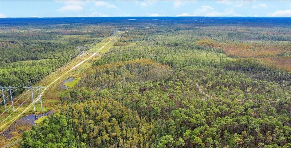 Image 2 of 2 For  Dill Road 