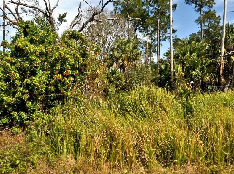 Details for Firebird Road, NORTH PORT, FL 34288