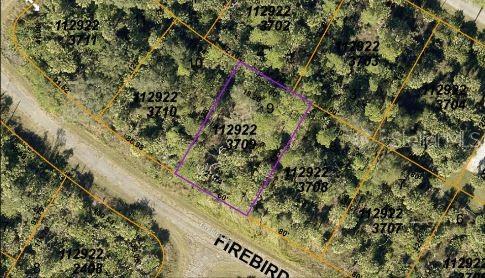 Image 4 of 6 For Firebird Road