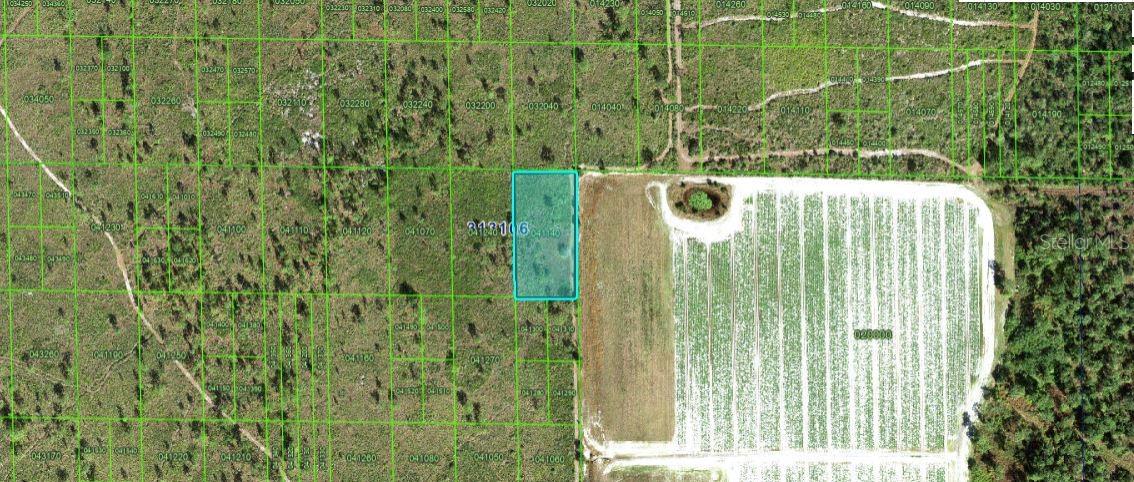 Listing Details for Grape Hammock Rd, LAKE WALES, FL 33898