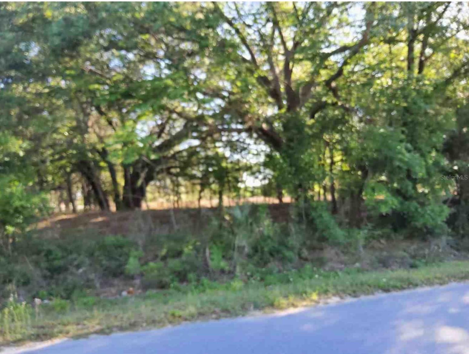 Image 4 of 25 For Maricamp Road
