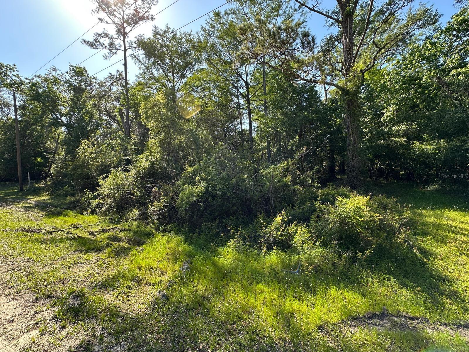 Image 4 of 19 For 33053 Smallman Street