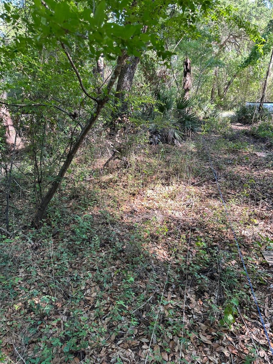 Image 6 of 19 For 33053 Smallman Street