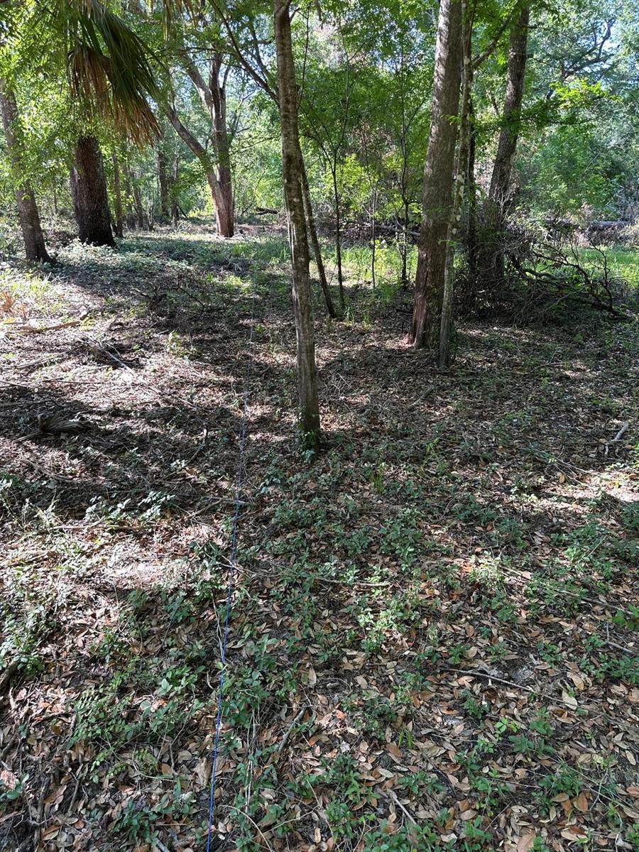 Image 8 of 19 For 33053 Smallman Street