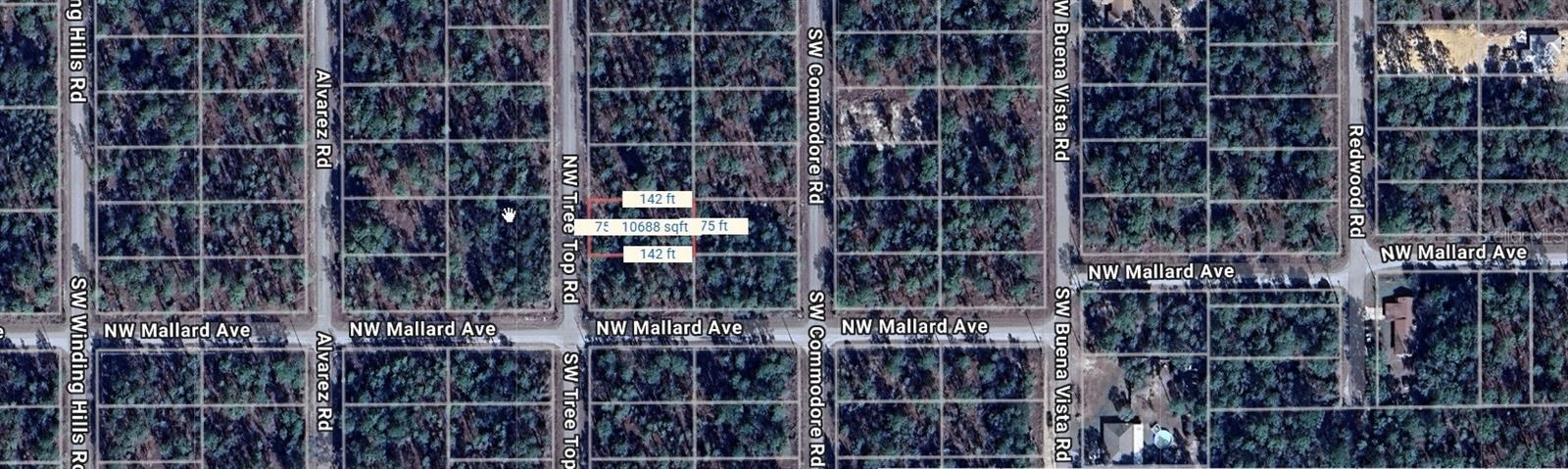 Listing Details for  Nw Tree Top  , DUNNELLON, FL 34431