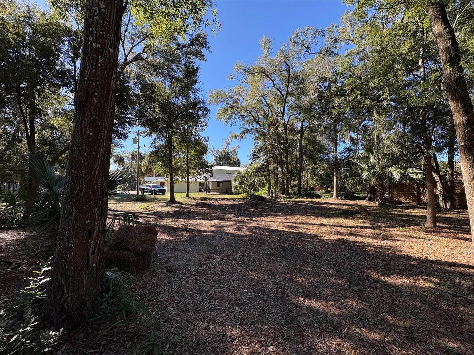 Image 62 of 82 For 155 S Court  