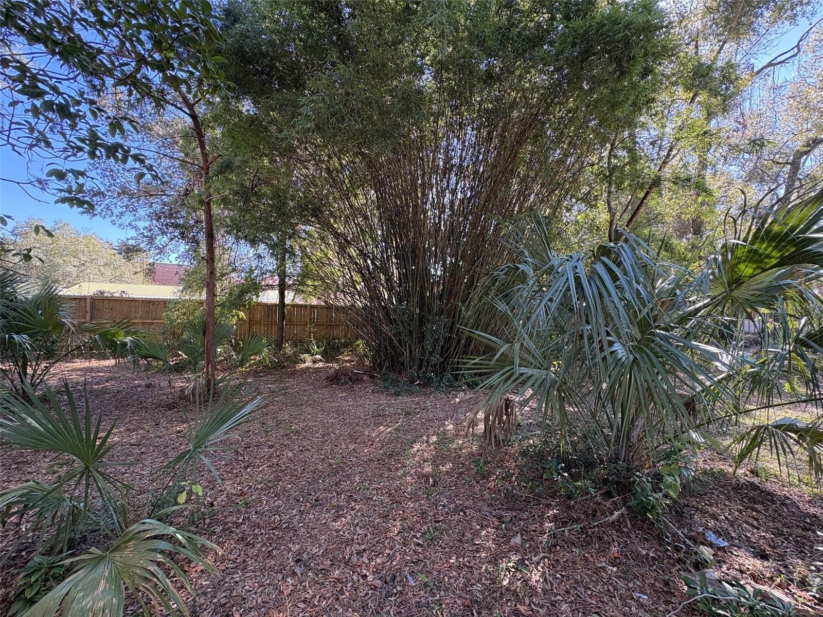 Image 64 of 82 For 155 S Court  