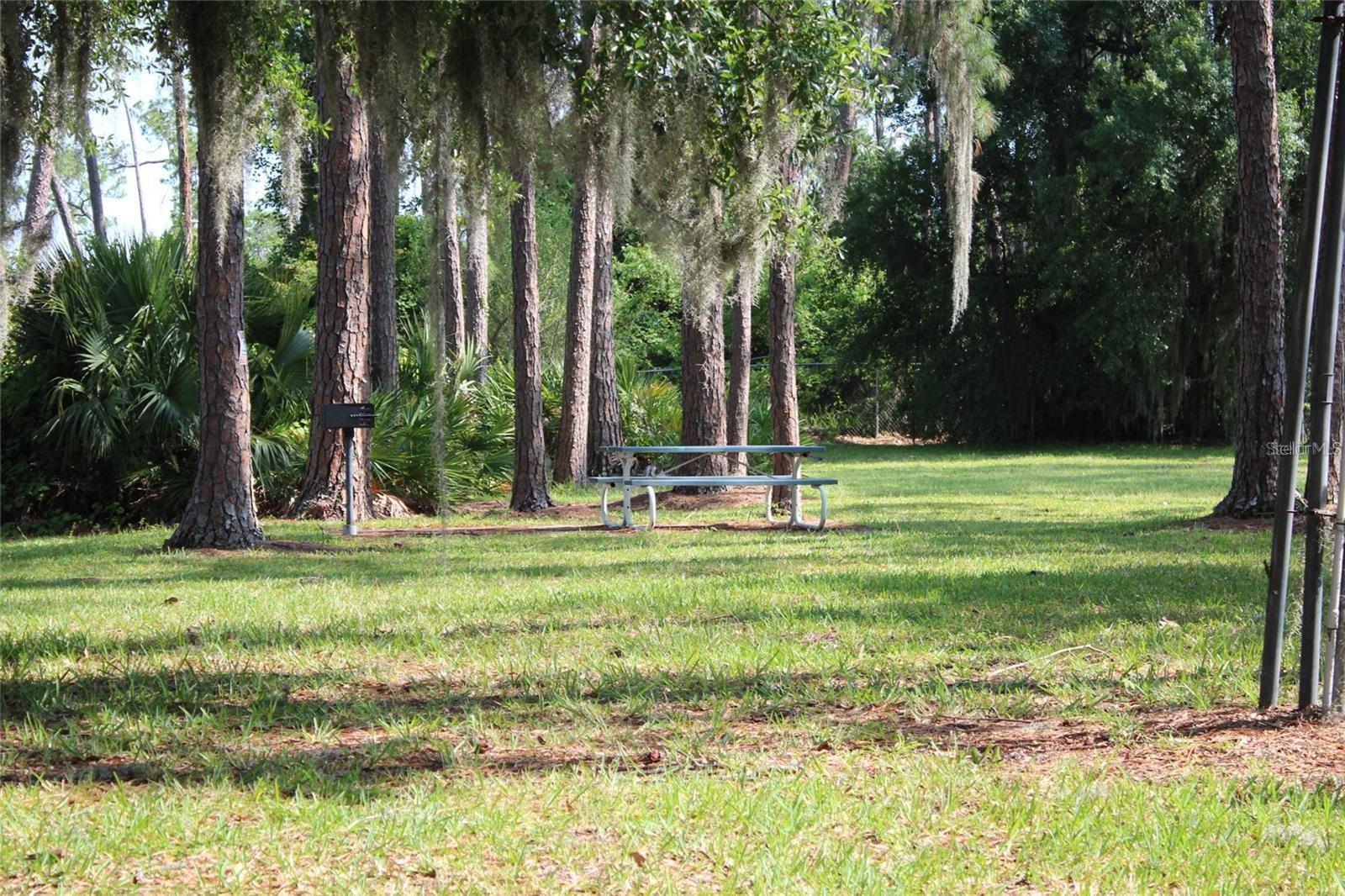 Image 31 of 52 For 50989 Highway 27 #317