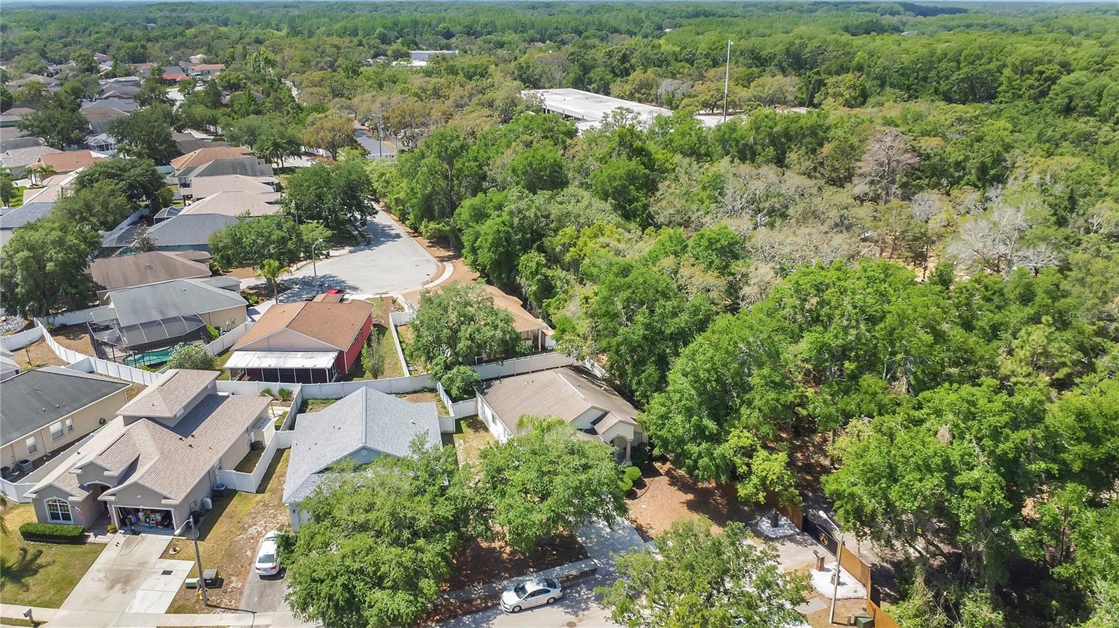 Listing photo id 18 for 12219 Hunters Lake Drive