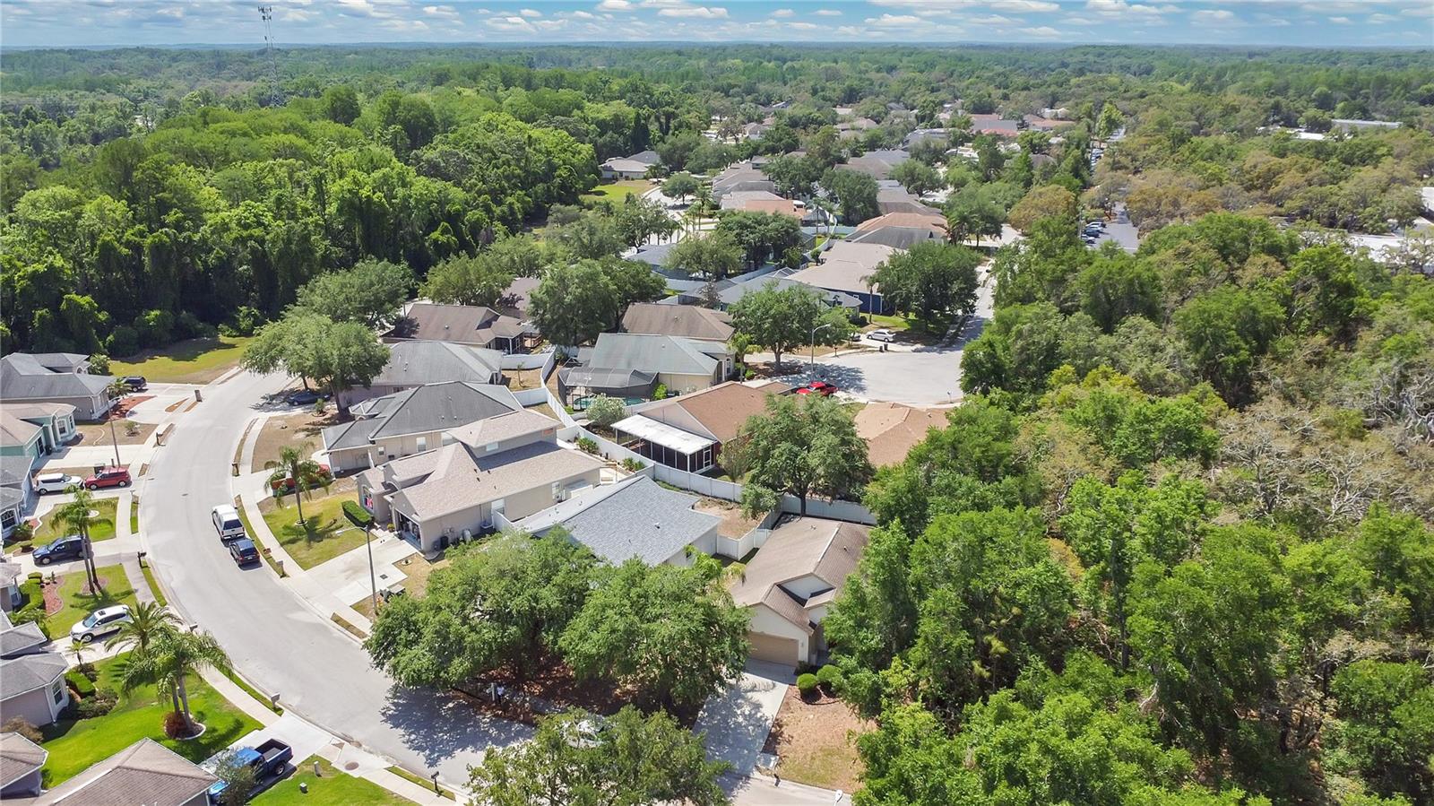 Listing photo id 19 for 12219 Hunters Lake Drive