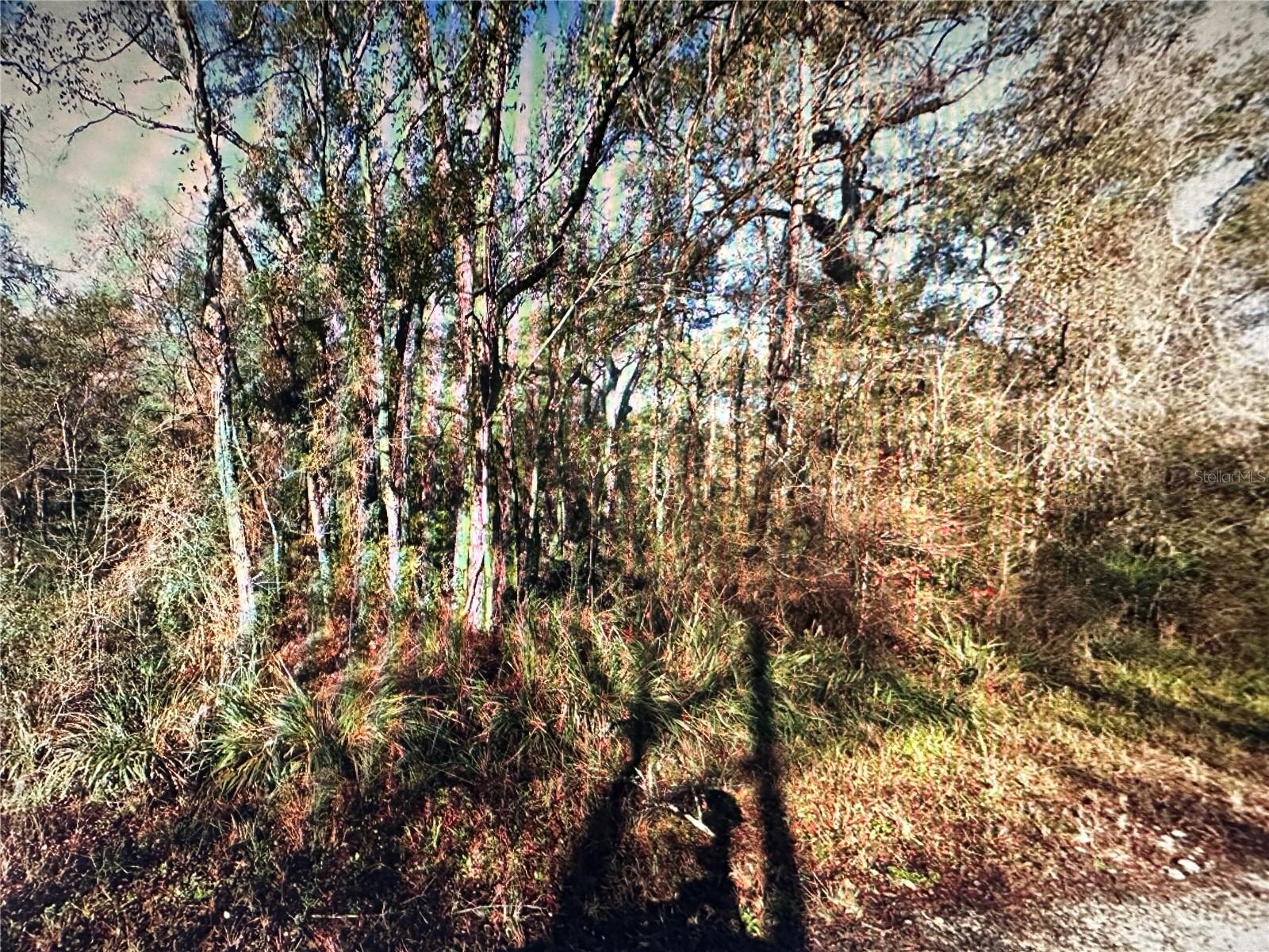 Image 2 of 10 For Table Rock Drive